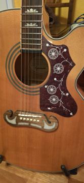 Eine meiner Gitarren